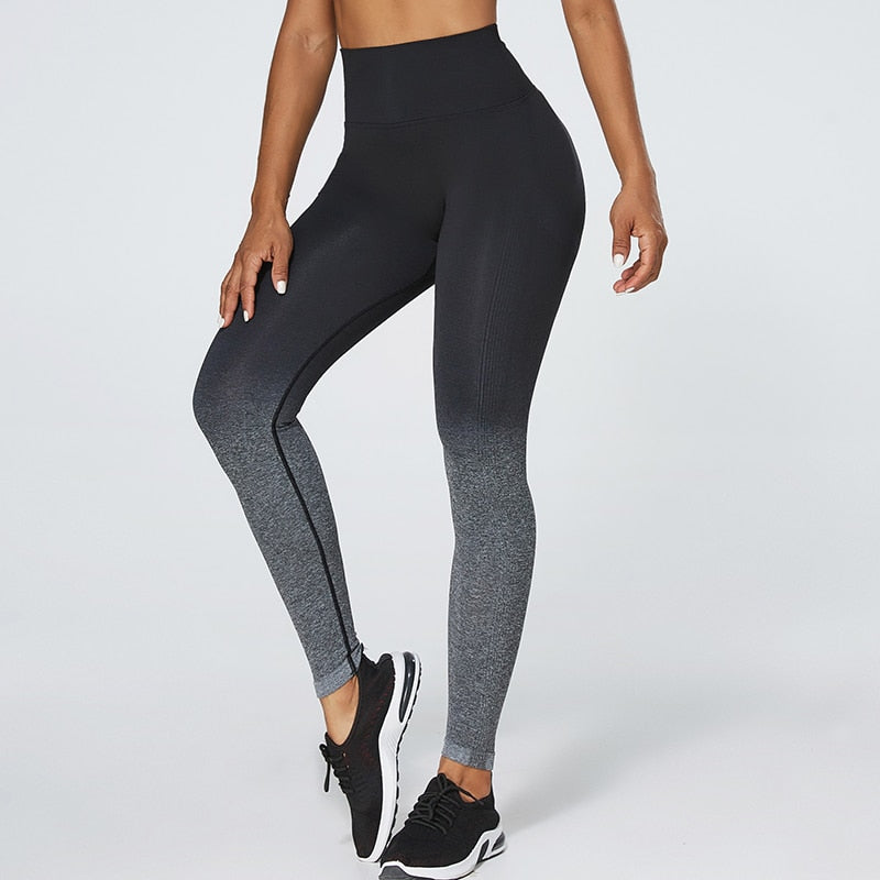 Ennzoo ATHENA Seamless Leggings