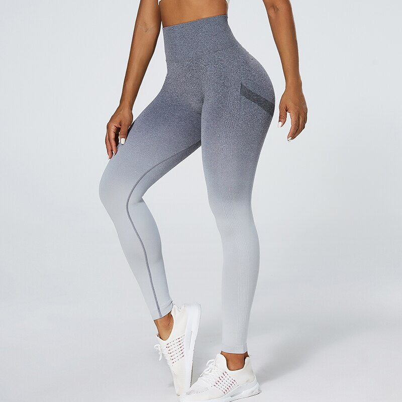 Ennzoo ATHENA Seamless Leggings