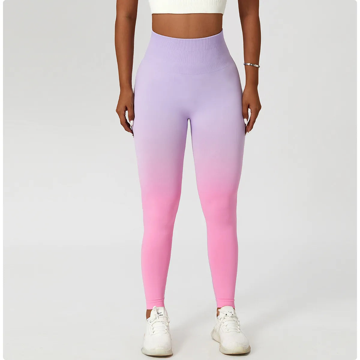 Zoorie Gradient Seamless Leggings