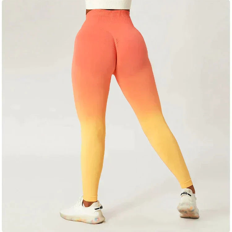 Zoorie Gradient Seamless Leggings