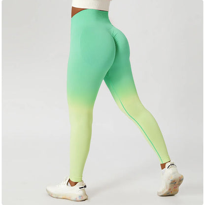 Zoorie Gradient Seamless Leggings