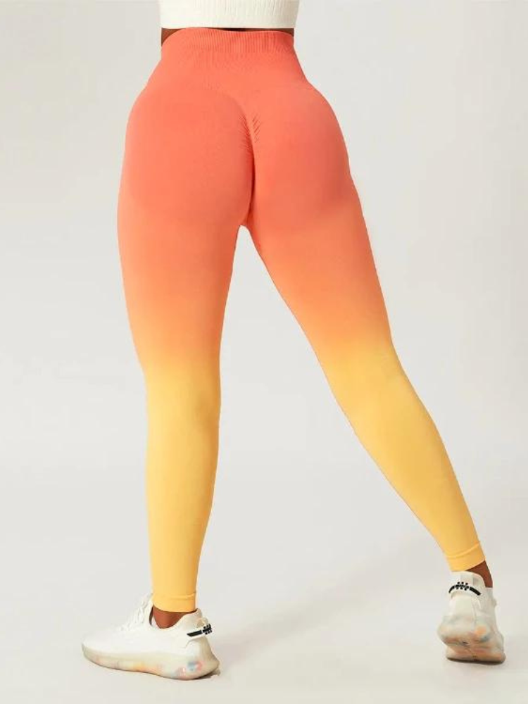Zoorie Gradient Seamless Leggings